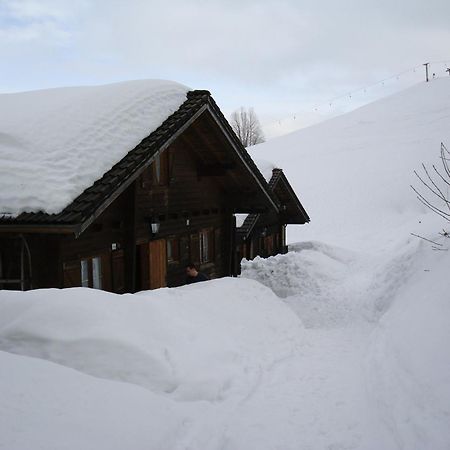 Ferienwohnungen Im Blockhaus Metzler Шварценберг-им-Брегенцервальд Экстерьер фото