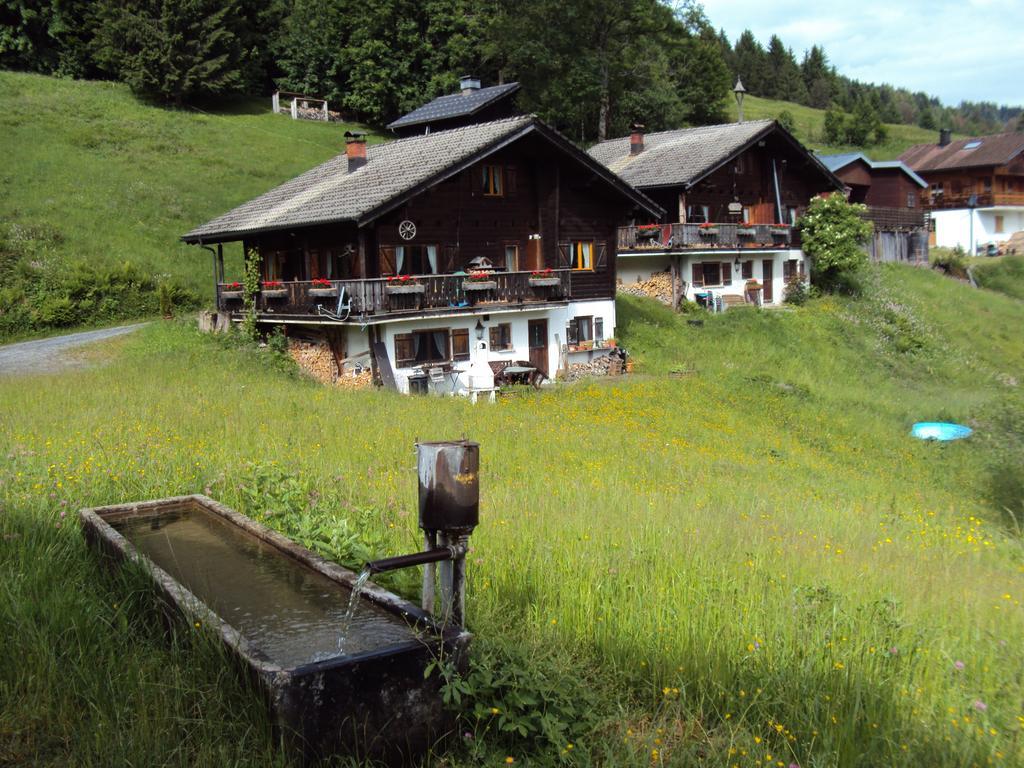 Ferienwohnungen Im Blockhaus Metzler Шварценберг-им-Брегенцервальд Экстерьер фото