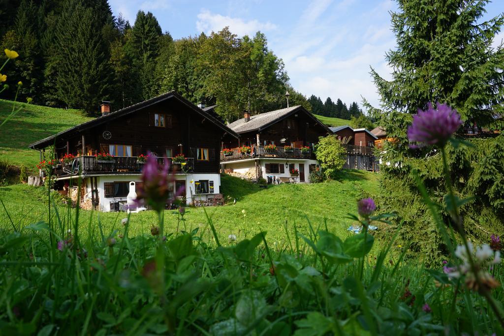 Ferienwohnungen Im Blockhaus Metzler Шварценберг-им-Брегенцервальд Экстерьер фото